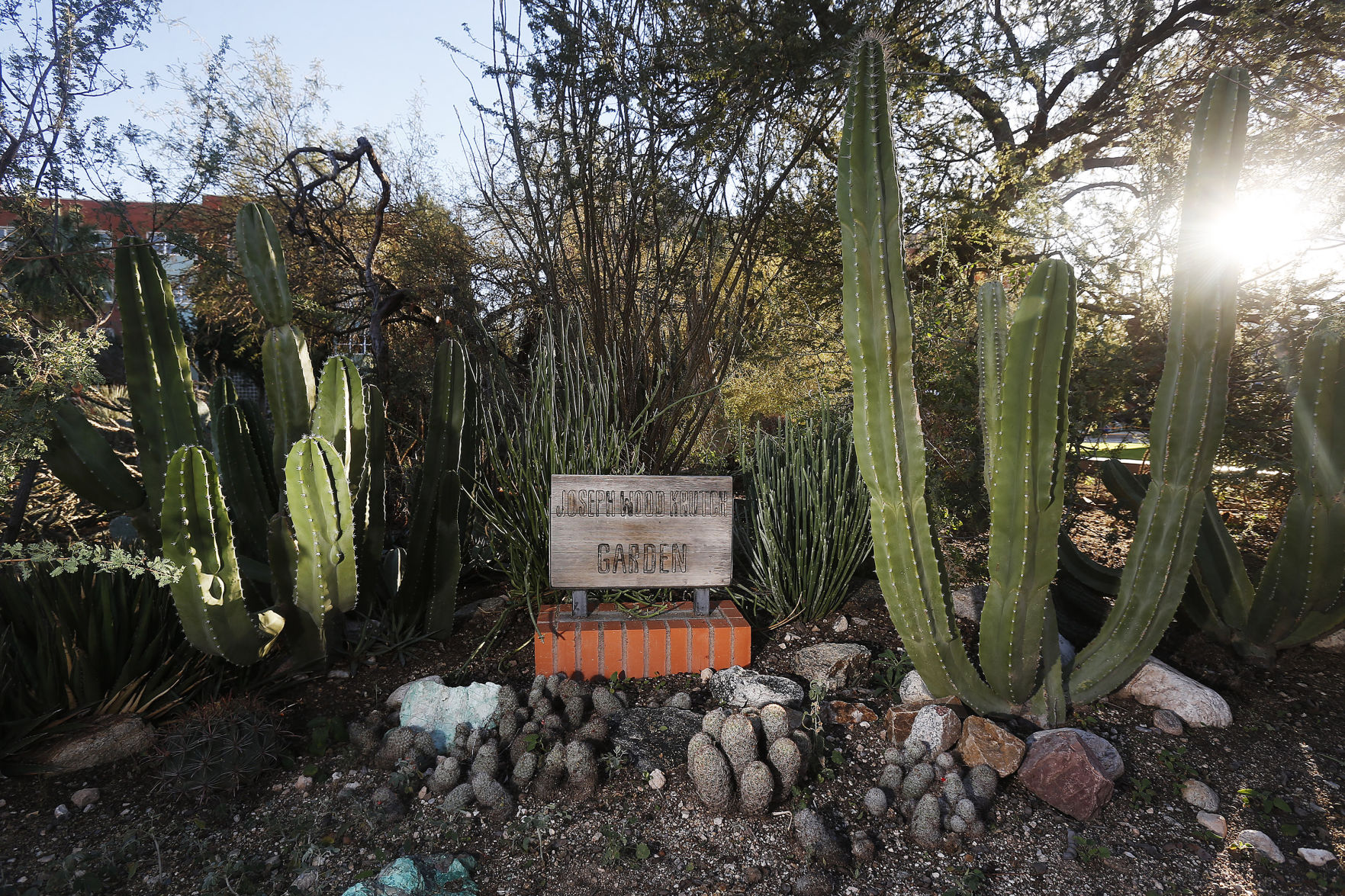 Make a scene: Joseph Wood Krutch Garden